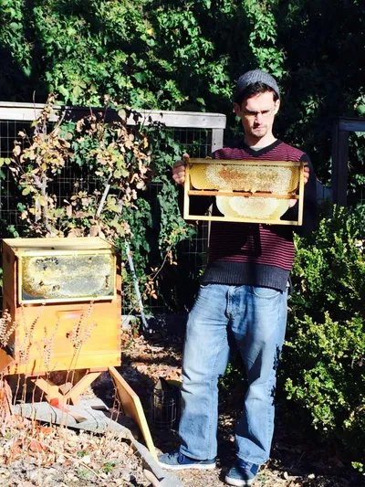 A beekeeper holding up a frame of honeycomb beside an open hive box