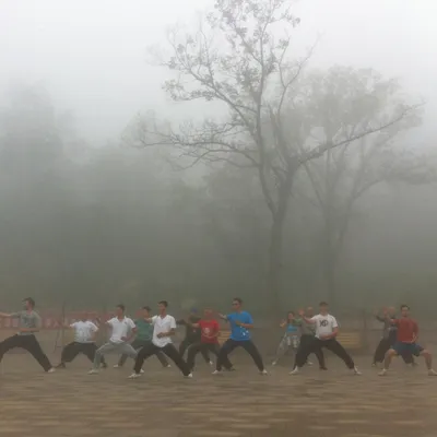 A group practicing taijiquan in the fog beneath a bare tree and a red banner