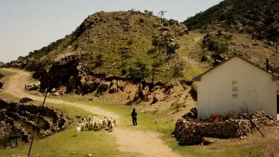 A shepherd leading a flock of goats along a dirt path through rocky Chinese hills