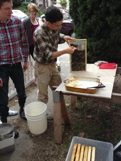 A beekeeper uncapping a honeycomb frame over a tray while two people watch